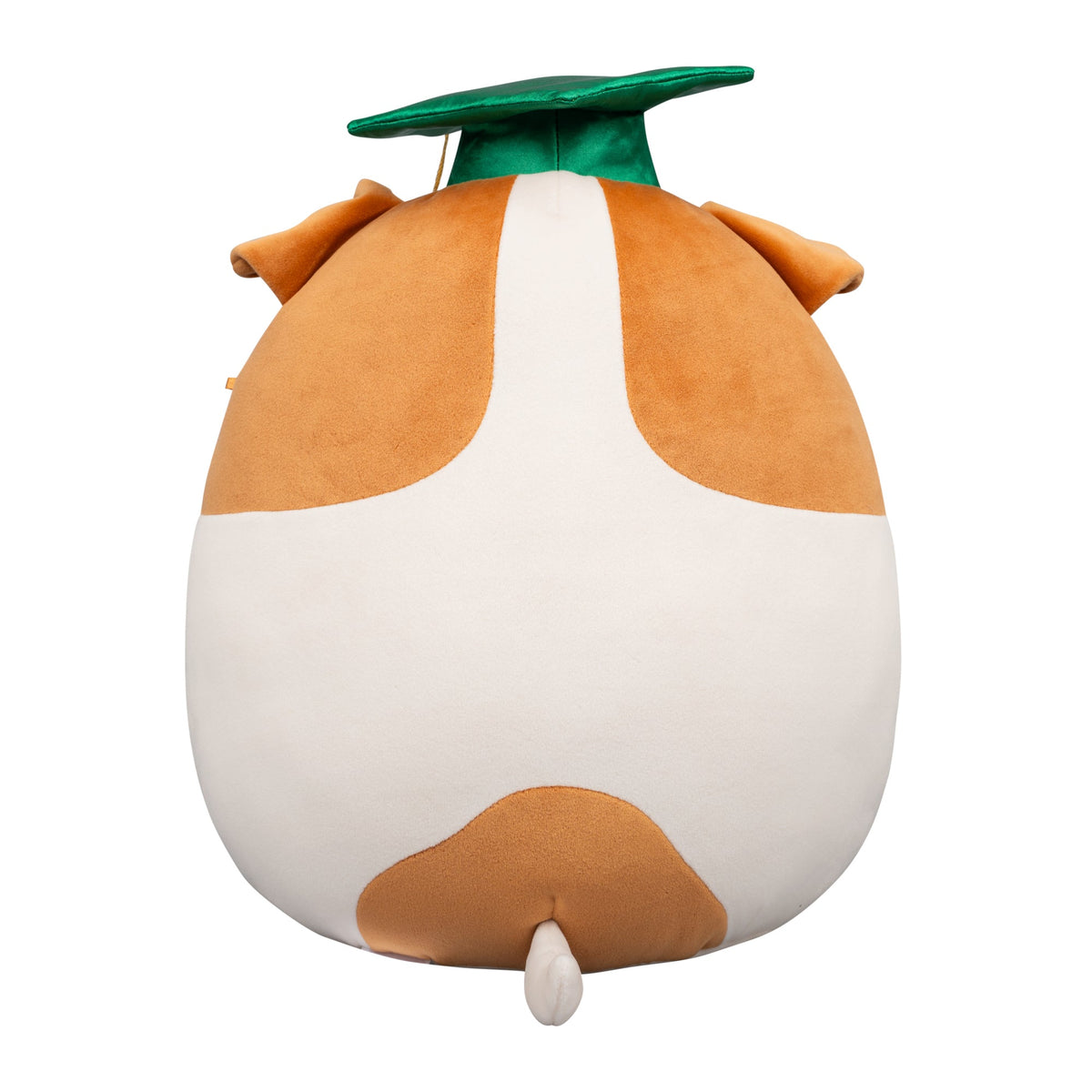 Squishmallows Exclusive | 12" Brenden the Jack Russell Terrier with Green Graduation | Jazwares