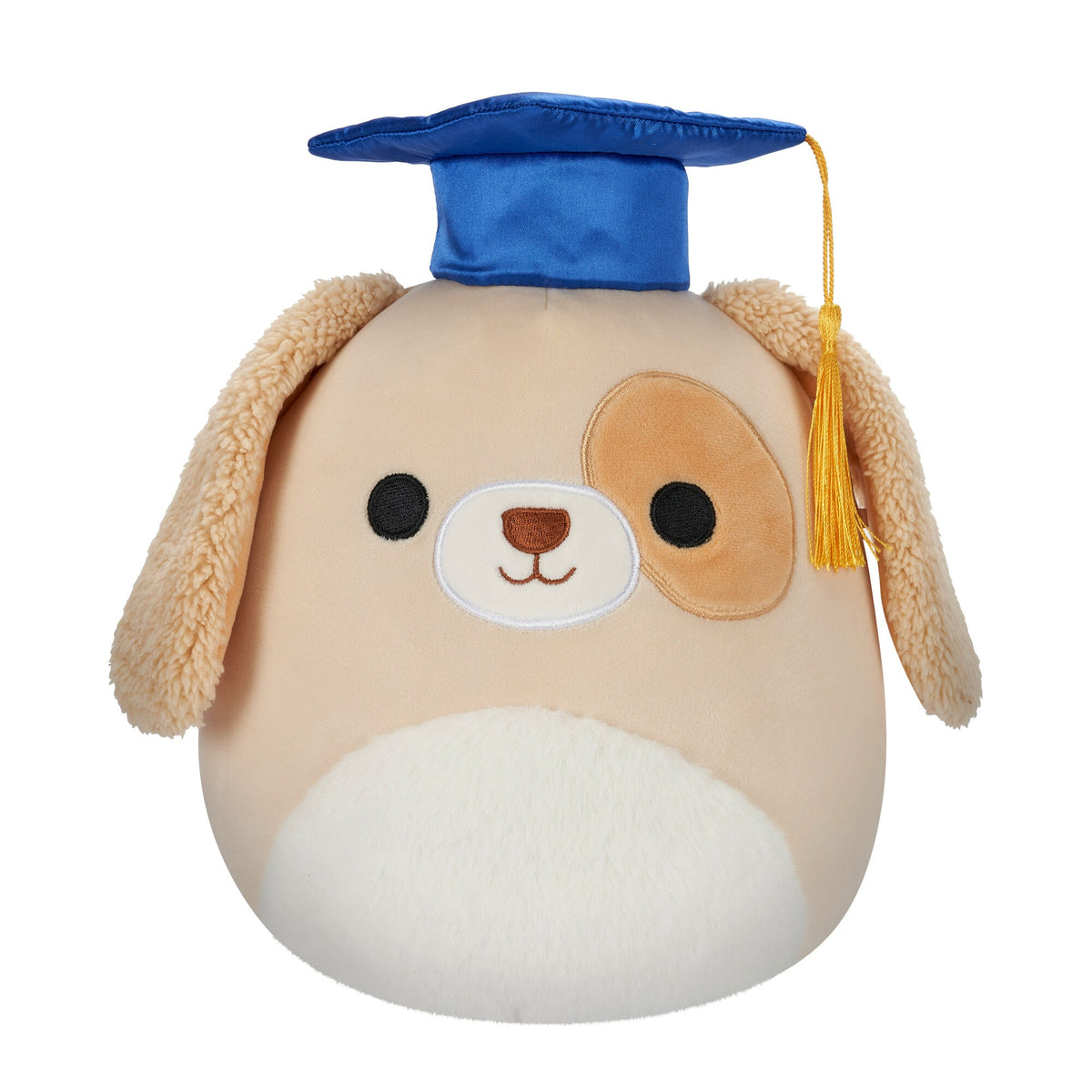 Squishmallows Signature | 8" Harris the Brown Spotted Dog in Graduation Cap | Jazwares
