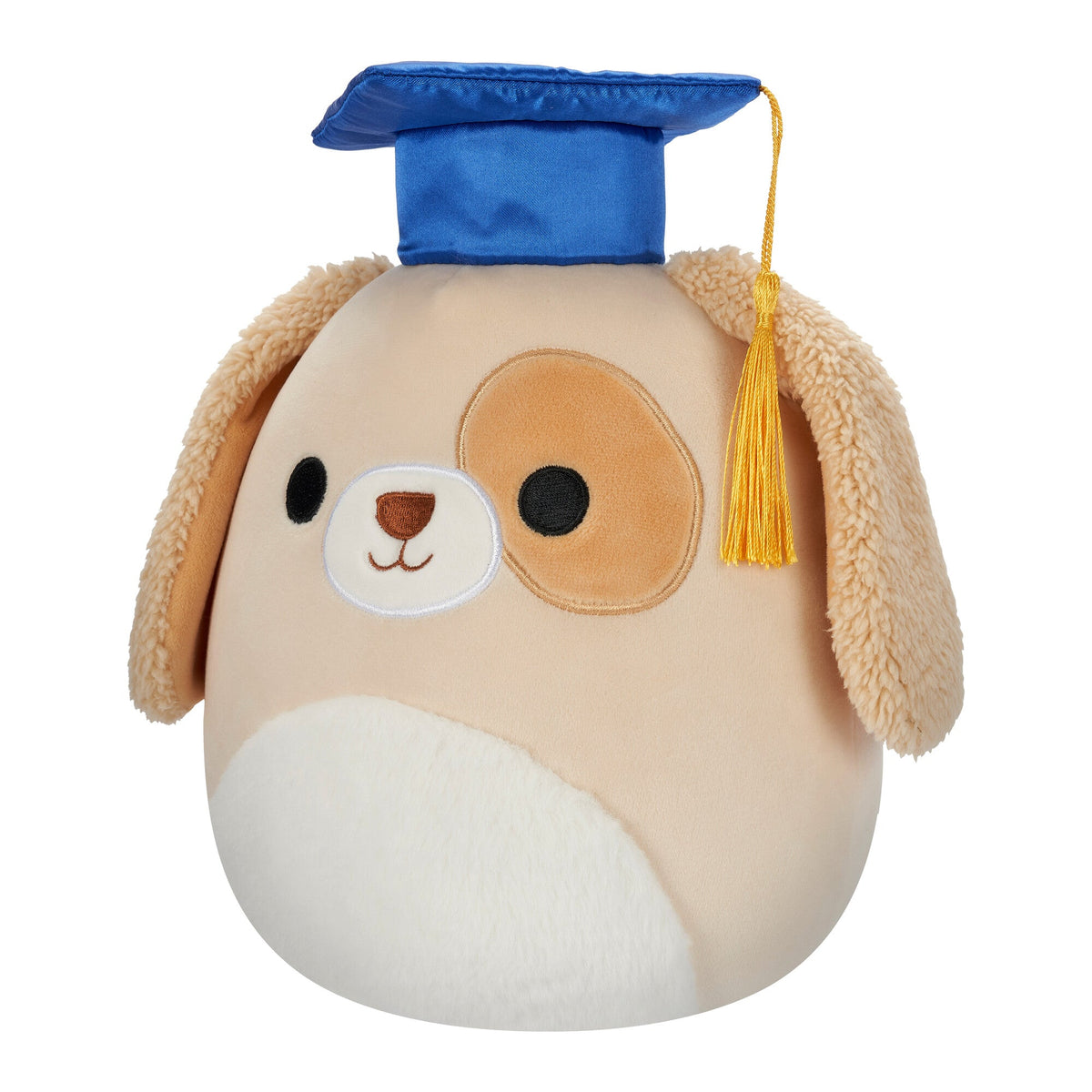 Squishmallows Signature | 8" Harris the Brown Spotted Dog in Graduation Cap | Jazwares