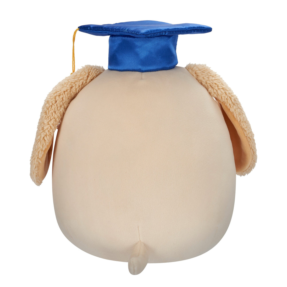 Squishmallows Signature | 8" Harris the Brown Spotted Dog in Graduation Cap | Jazwares