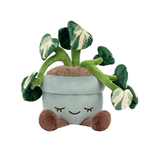 Squishmallows Value | Greenhouse by Russ 12" Pothos Plant Plush | Jazwares