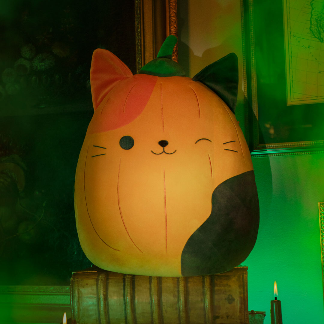 Squishmallows Trending | Pumpkin Cam | Jazwares