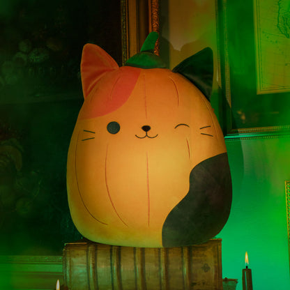 Squishmallows Trending | Pumpkin Cam | Jazwares