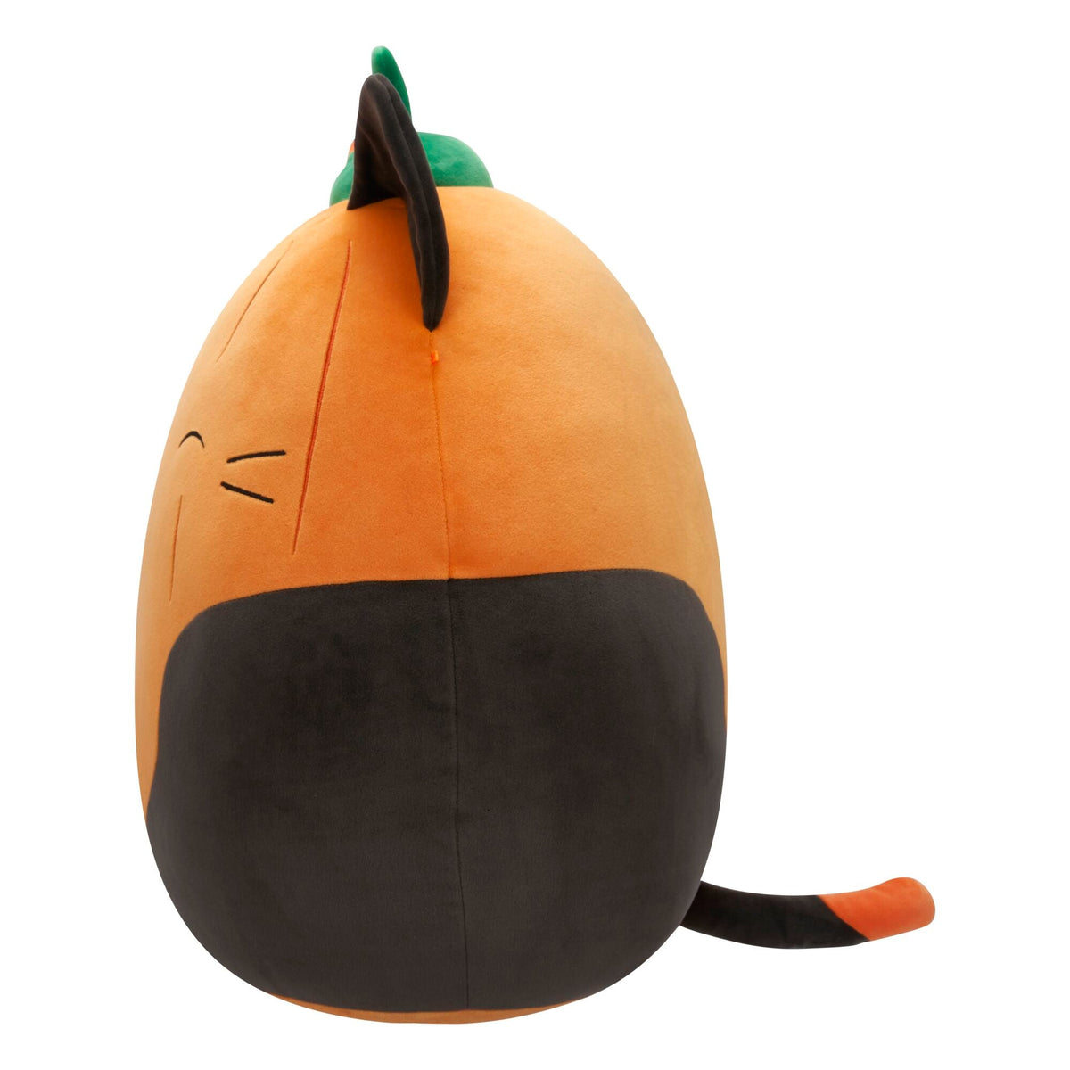 Squishmallows Trending | Pumpkin Cam | Jazwares