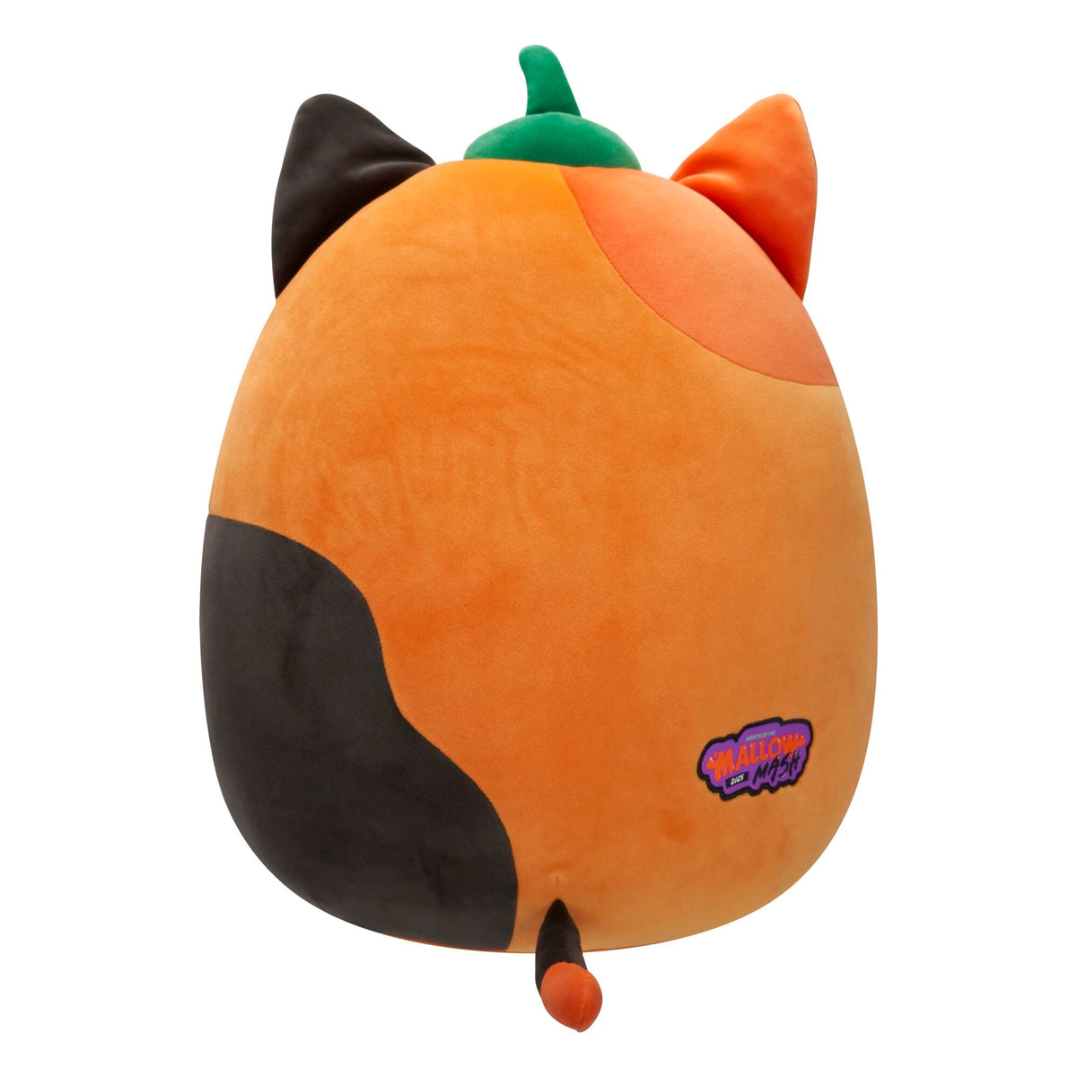 Squishmallows Trending | Pumpkin Cam | Jazwares