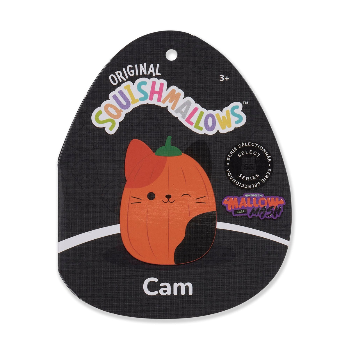 Squishmallows Trending | Pumpkin Cam | Jazwares